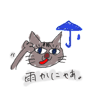 ぶさキジ猫の日常会話（個別スタンプ：23）