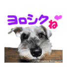 犬図鑑（日常会話）（個別スタンプ：18）