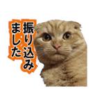 チャトランの家族 大集合（個別スタンプ：4）