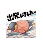 ハンドボールすたんぷ ペンギンver.（個別スタンプ：11）