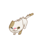 Choco Cat - Pack 2（個別スタンプ：2）