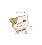 Choco Cat - Pack 2（個別スタンプ：15）