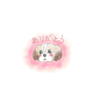 あーさ家の犬達（個別スタンプ：4）