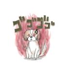 あーさ家の犬達（個別スタンプ：6）