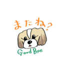 あーさ家の犬達（個別スタンプ：10）