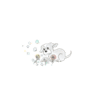 あーさ家の犬達（個別スタンプ：11）