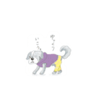 あーさ家の犬達（個別スタンプ：24）