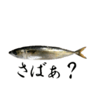 お魚の可愛さ伝えたい。（個別スタンプ：3）