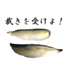 お魚の可愛さ伝えたい。（個別スタンプ：4）