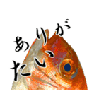 お魚の可愛さ伝えたい。（個別スタンプ：7）