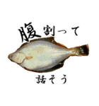 お魚の可愛さ伝えたい。（個別スタンプ：12）