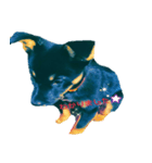 愛犬（個別スタンプ：8）