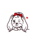 Lucky's life（個別スタンプ：1）