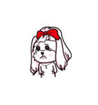Lucky's life（個別スタンプ：11）