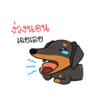 Dachshund Choei Loei（個別スタンプ：1）