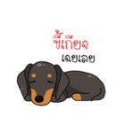 Dachshund Choei Loei（個別スタンプ：2）
