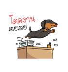 Dachshund Choei Loei（個別スタンプ：3）