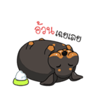Dachshund Choei Loei（個別スタンプ：4）