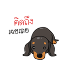 Dachshund Choei Loei（個別スタンプ：5）