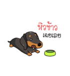 Dachshund Choei Loei（個別スタンプ：7）