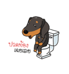 Dachshund Choei Loei（個別スタンプ：8）