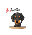 Dachshund Choei Loei（個別スタンプ：15）