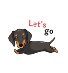 Dachshund Choei Loei（個別スタンプ：19）
