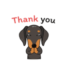 Dachshund Choei Loei（個別スタンプ：21）