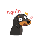 Dachshund Choei Loei（個別スタンプ：22）