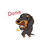Dachshund Choei Loei（個別スタンプ：24）