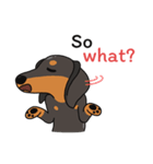 Dachshund Choei Loei（個別スタンプ：29）