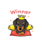 Dachshund Choei Loei（個別スタンプ：30）