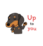 Dachshund Choei Loei（個別スタンプ：32）