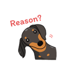 Dachshund Choei Loei（個別スタンプ：33）