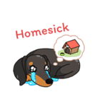 Dachshund Choei Loei（個別スタンプ：34）