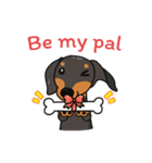 Dachshund Choei Loei（個別スタンプ：35）