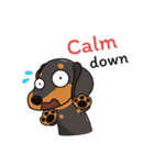 Dachshund Choei Loei（個別スタンプ：37）