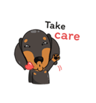 Dachshund Choei Loei（個別スタンプ：39）