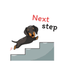 Dachshund Choei Loei（個別スタンプ：40）