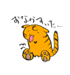 tiger cuty（個別スタンプ：3）