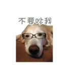 DingDing Day（個別スタンプ：7）