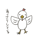 にわとりさん一家（個別スタンプ：20）