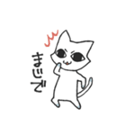 しろねこのあいさつ（個別スタンプ：12）