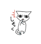 しろねこのあいさつ（個別スタンプ：16）
