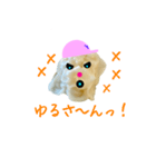 Yさんちの焼売（個別スタンプ：10）