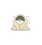 A lazy lazy cat（個別スタンプ：5）