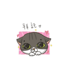 A lazy lazy cat（個別スタンプ：15）