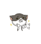 A lazy lazy cat（個別スタンプ：17）