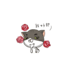 A lazy lazy cat（個別スタンプ：27）