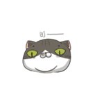 A lazy lazy cat（個別スタンプ：33）